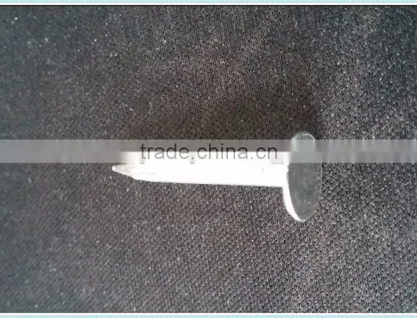 HOT!roofing Coil Nails photo-3