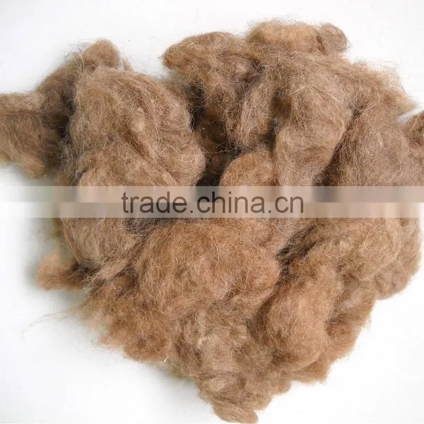 Camel Hair Combings