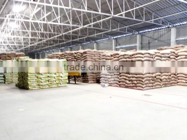 Non GMO Soyabean photo-2