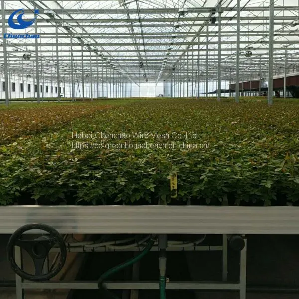 Greenhouse Rolling Bench Ebb and Flow Rolling Table for Seedling photo-4