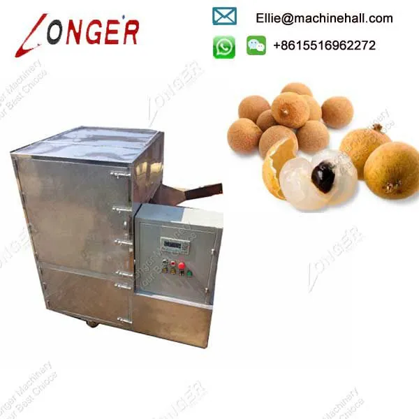 Automatic Removing Coring Longan Pitting Machine photo-2
