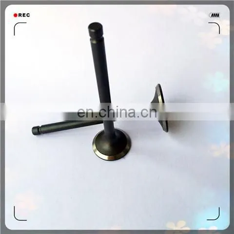 Oem 5S6452 5S6449 Engine Valve for 3304 Catd4 photo-6