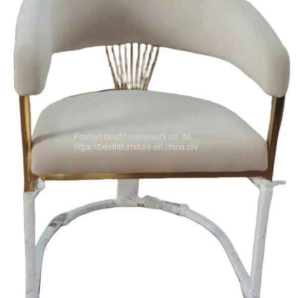 XC258C Nice Shape Stainless Steel Dining Chair Home Furniture Comfortable photo-2
