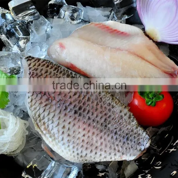 Frozen Tilapia Fish