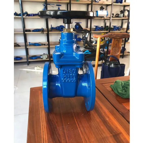 BS Rising Stem Resilient Seat Gate Valve Flanged End PN16 PN25 photo-4