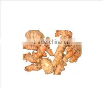 Fresh Turmeric/ Turmeric Ogarnic