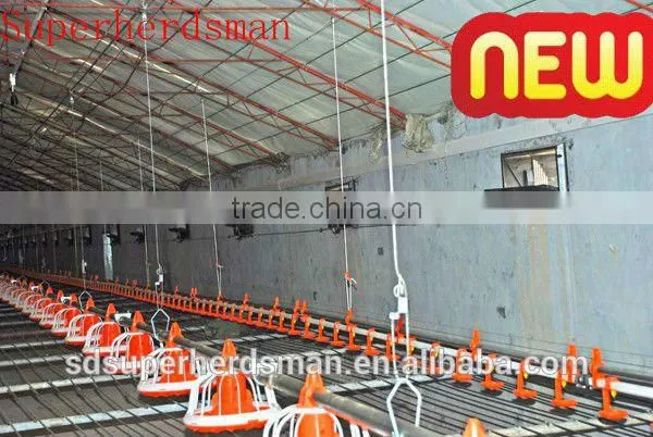Automatic Poultry Farming Equipment Top Sale photo-2