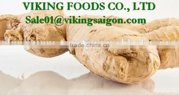 SPECIAL - 2016 - FROZEN GINGER GOOD QUALITY FROM VIET NAM photo-5