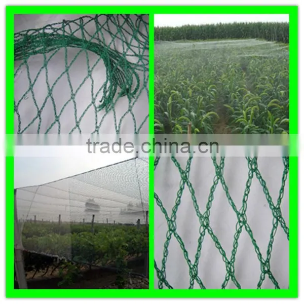 Virgin HDPE Plastic Bird Net/anti Flying Animal Protection Fence photo-5