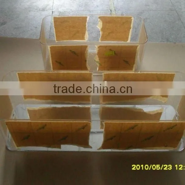 Acrylic Box