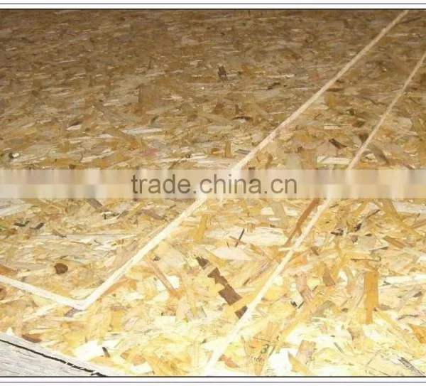 CTAHOK OSB OSB3 photo-3