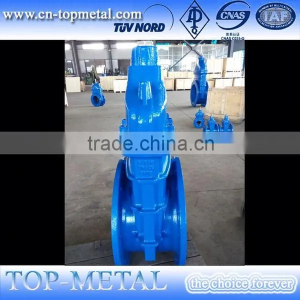 Ductile Iron Rising Stem Gate Valve photo-6