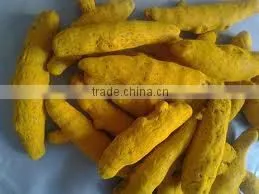 Traditional Turmeric Fingers