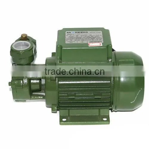 High Efficiency Centrifugal Electric Water Pump photo-6