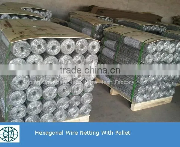 Pvc Coated Blue Color Green Color Hexagonal Wire Mesh photo-2