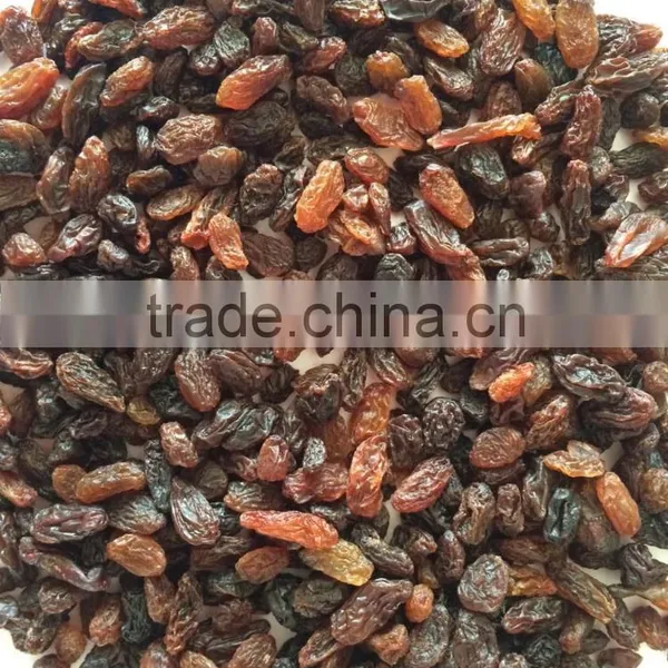 High Quality Dried Brown Sultana Raisin on Sale photo-2
