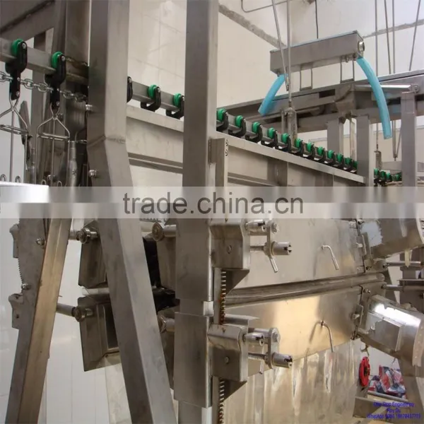 5000 per Hour Quail Slaughter House photo-2
