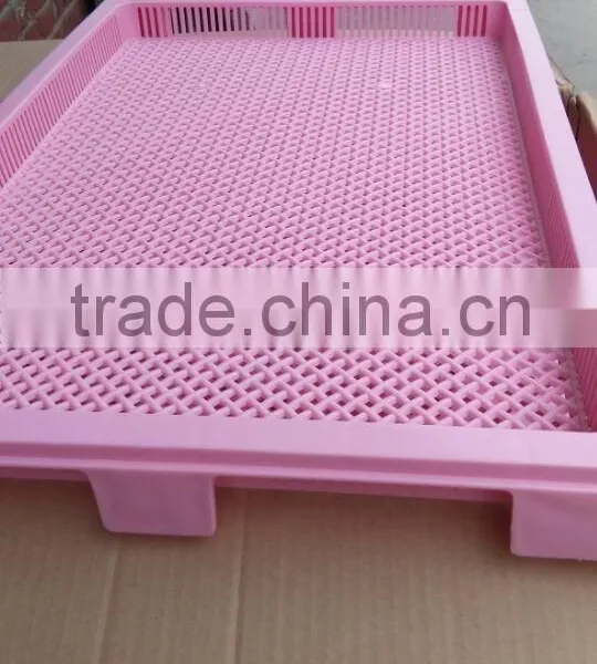 Food Grade Plastic Drying Trays For Paintballs And Softgel Capsule photo-5