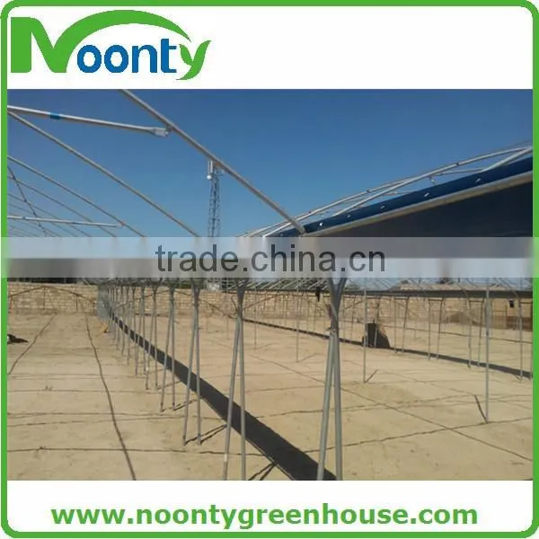 Multispan Tunnel Greenhouse for Flower