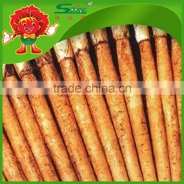 High Quality Chinese Fresh Burdock, Best Natural Burdock Root for Export photo-5