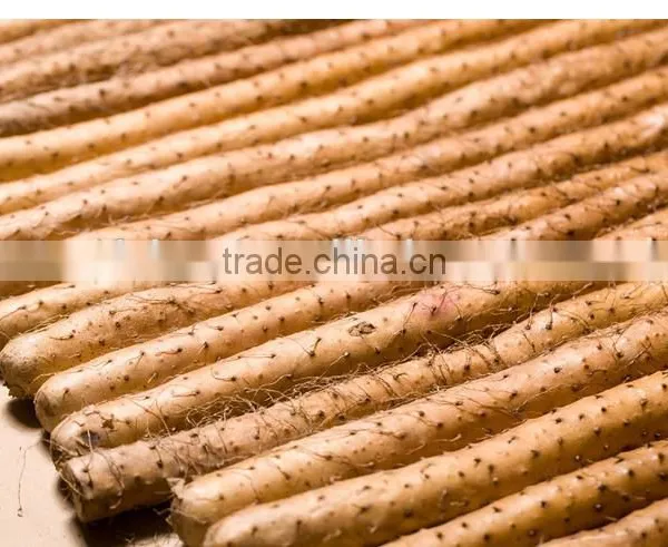 Manufacture Natural Super Quality Chinese Wild Yam Flour photo-2