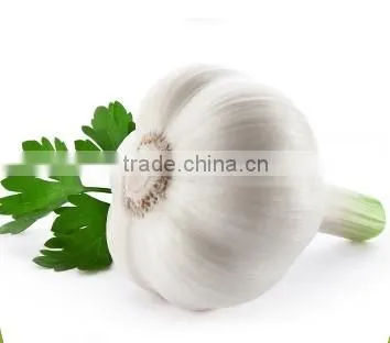 2016 Fresh Style Red Garlic photo-2