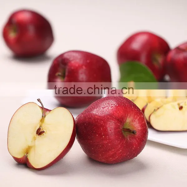 2016 New Crop New Season Huaniu Apple Fresh Apple China Gansu Tianshui Huaniu Apple