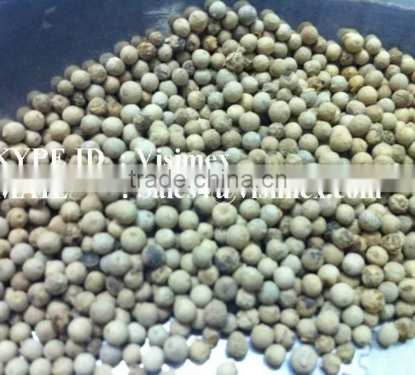 HIGH QUALITY WHITE PEPPER FROM VIETNAM WITH BEST PRICE photo-6