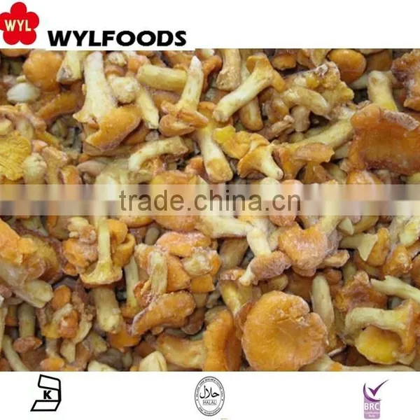 2015 New Product China Mushroom Frozen Chanterelles Mushroom photo-3