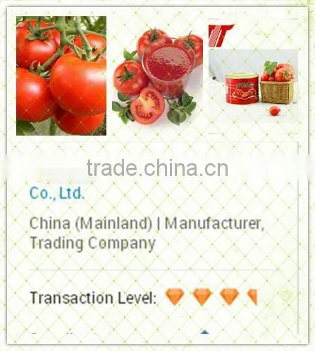 Primary Ingredient Hot Sell High Quality Sachet Tomato Paste photo-6
