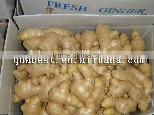 Fresh Washed Ginger photo-4