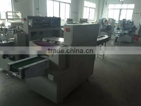 Professional Supplier Pillow Type Packing Machine photo-3
