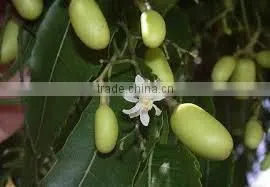 Neem Oil Organic photo-3