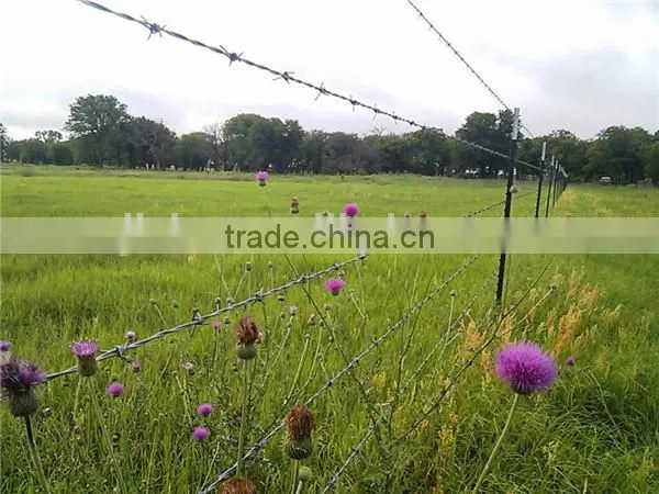 1.6mm Steel Wire Positive and Negative Twisted Barbed Wire Machine photo-6