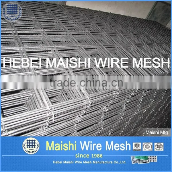 Welded Wire Mesh (iso9001 Factory Price) photo-4