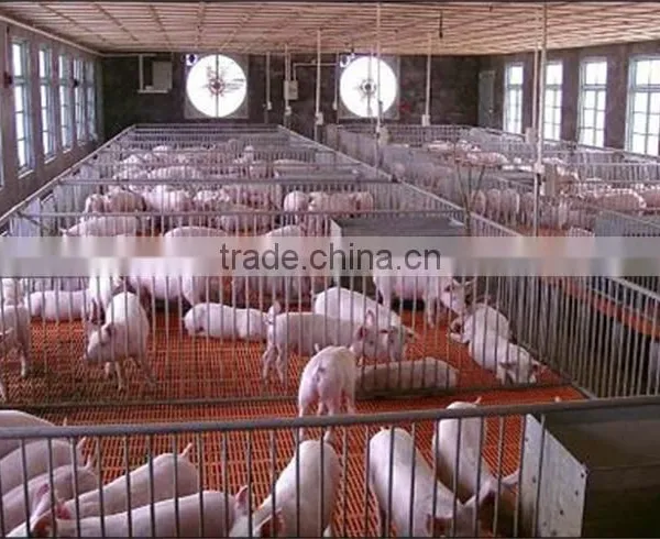 Multi-Span Greenhouse With Roll Up Motor For Ventilation Used For Animals Growing photo-3