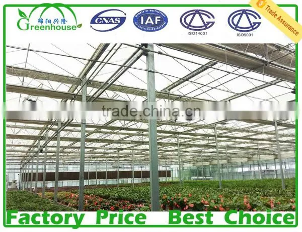 China Supplier Galvanized Round Steel Pipe For Greenhouse Frame photo-3