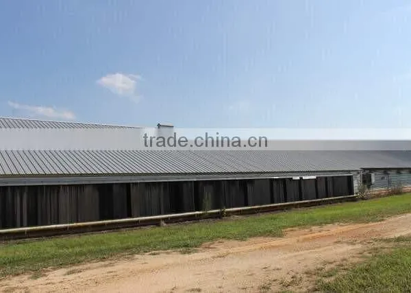 China DFX Cheap Poultry Farming Prefabricated Industrial Chicken House photo-6