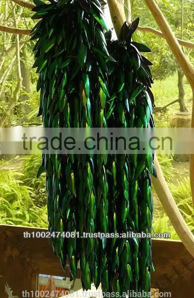 Beetle Wings 2014 Hot Sale Beetle Wings Brooches photo-4