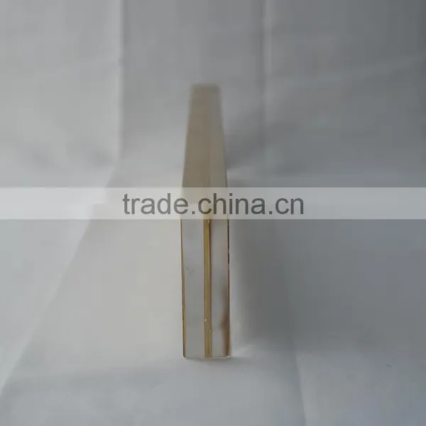 China Factory Custom Embedded Acrylic Awards Embedded Objects in Acrylic photo-5