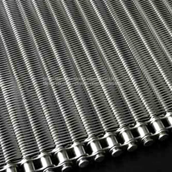 Food Chain Conveyor Belt, Shandong Manufacturers photo-3