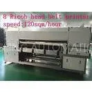 Belt Pigment Ink Printers Digital Printing On Textiles Ricoh Head 1500 Kilos