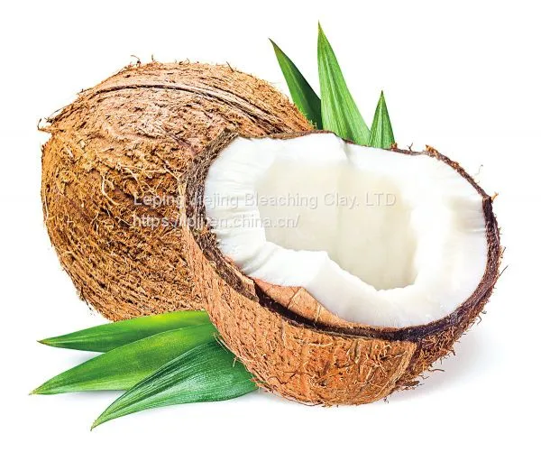 Jiejing Free Sample Edible Oil Decolorization Australian 206 Bleaching Earth Activated Bentonite Clay Price for Palm photo-4