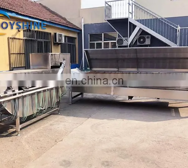Ready to Ship Small Chicken Process Line Poultry Slaughter Processing Machine photo-3