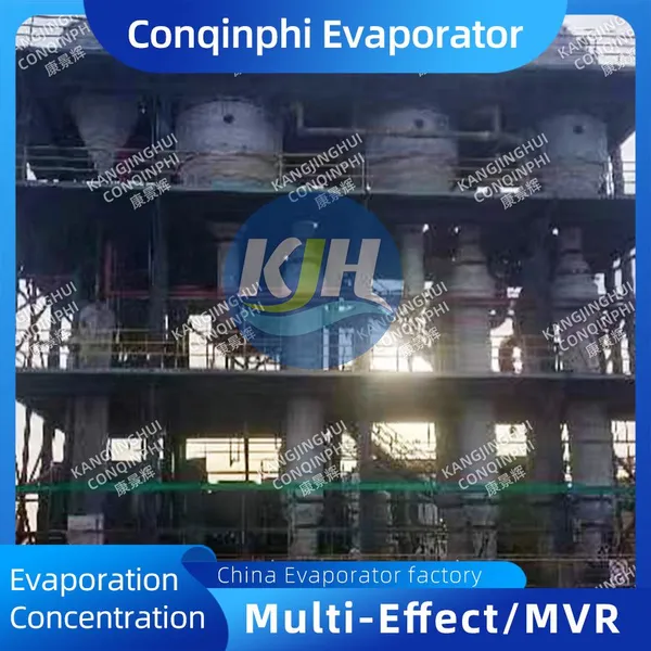 High-Ammonia Nitrogen Wastewater Treatment Machine with 24-Month Warranty Mill Test Report Included Customer Support