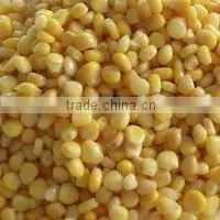Canned Sweet Corn
