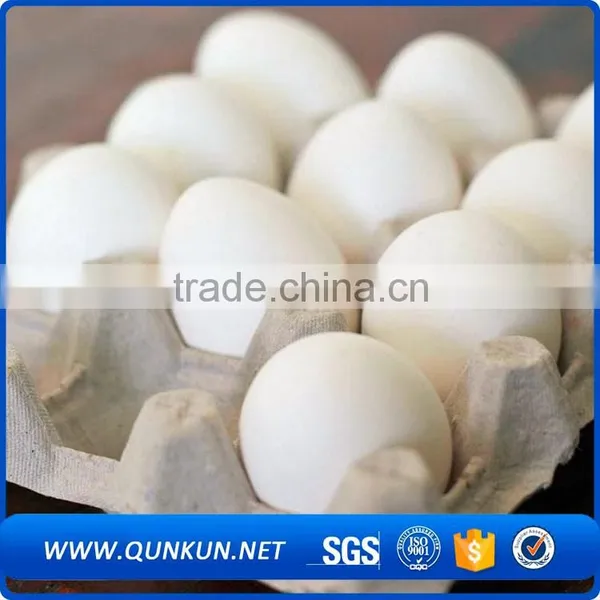 Cheap Price Hard Plastic Trays photo-2