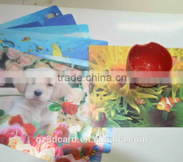 Guangzhou Lifeng 3D Place Mat With Lenticular Effect photo-2