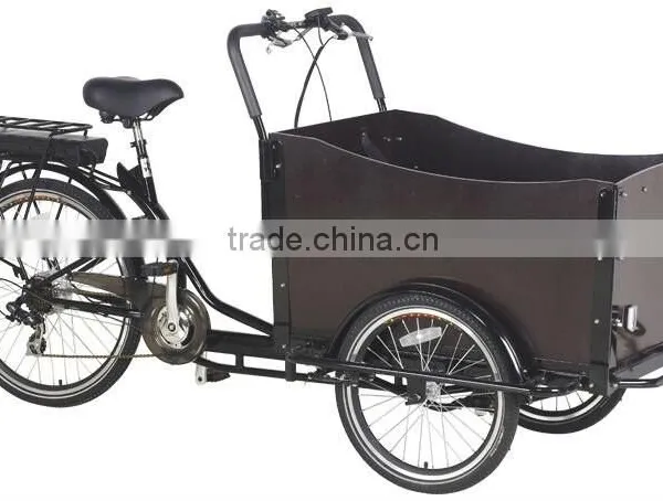 Low Price 5kw High Speed 100km/h Hub Motor Electric Cargo Bike Made in China photo-6