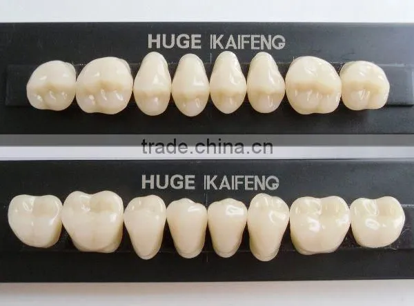 Dental Acrylic Resin Teeth